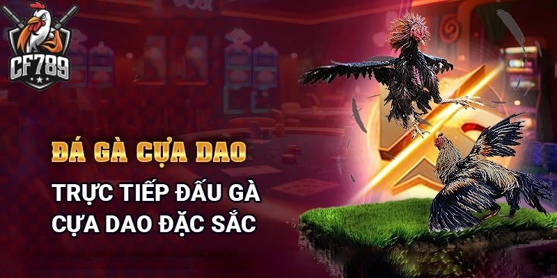 Đá gà online CF789 với nhiều tỷ lệ cược