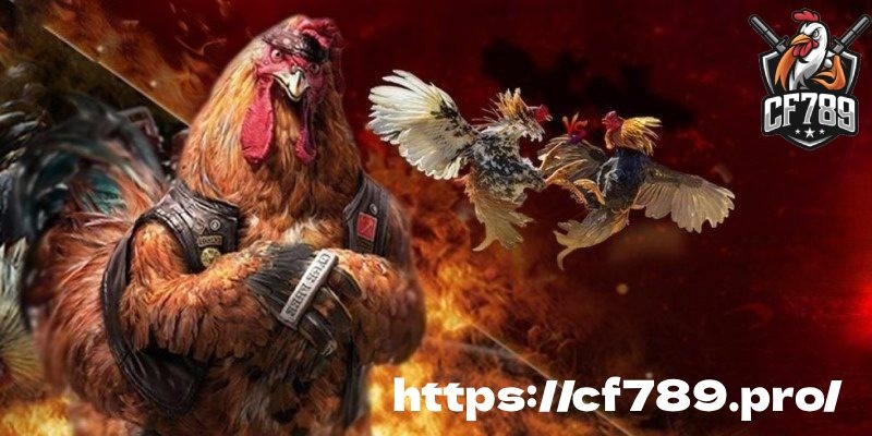 Link đăng ký đăng nhập CF789 uy tín