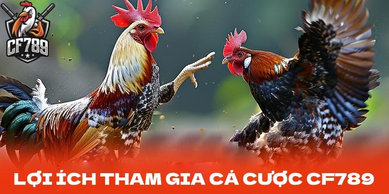 Lợi ích khi tham gia cá cược online tại CF789