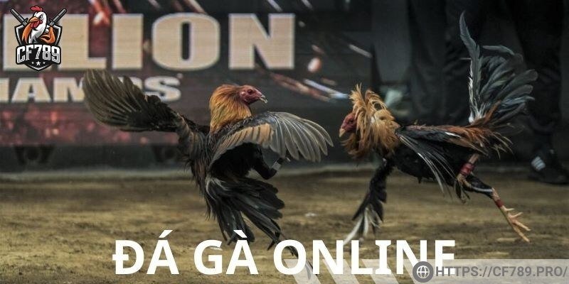 Chọn trận đấu và chiến kê phù hợp là rất quan trọng