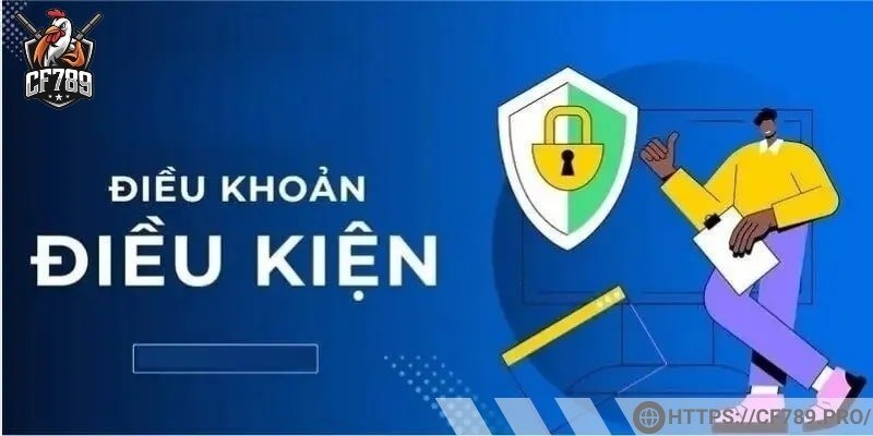 Điều khoản và điều kiện sử dụng dịch vụ tại nền tảng
