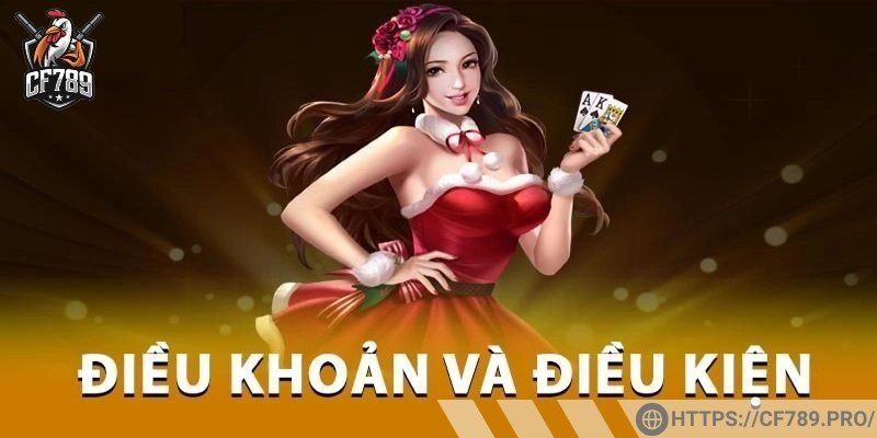 Điều khoản về quyền, nghĩa vụ người dùng