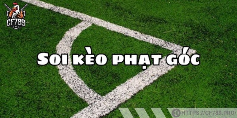 Phân tích thống kê và phong độ thi đấu